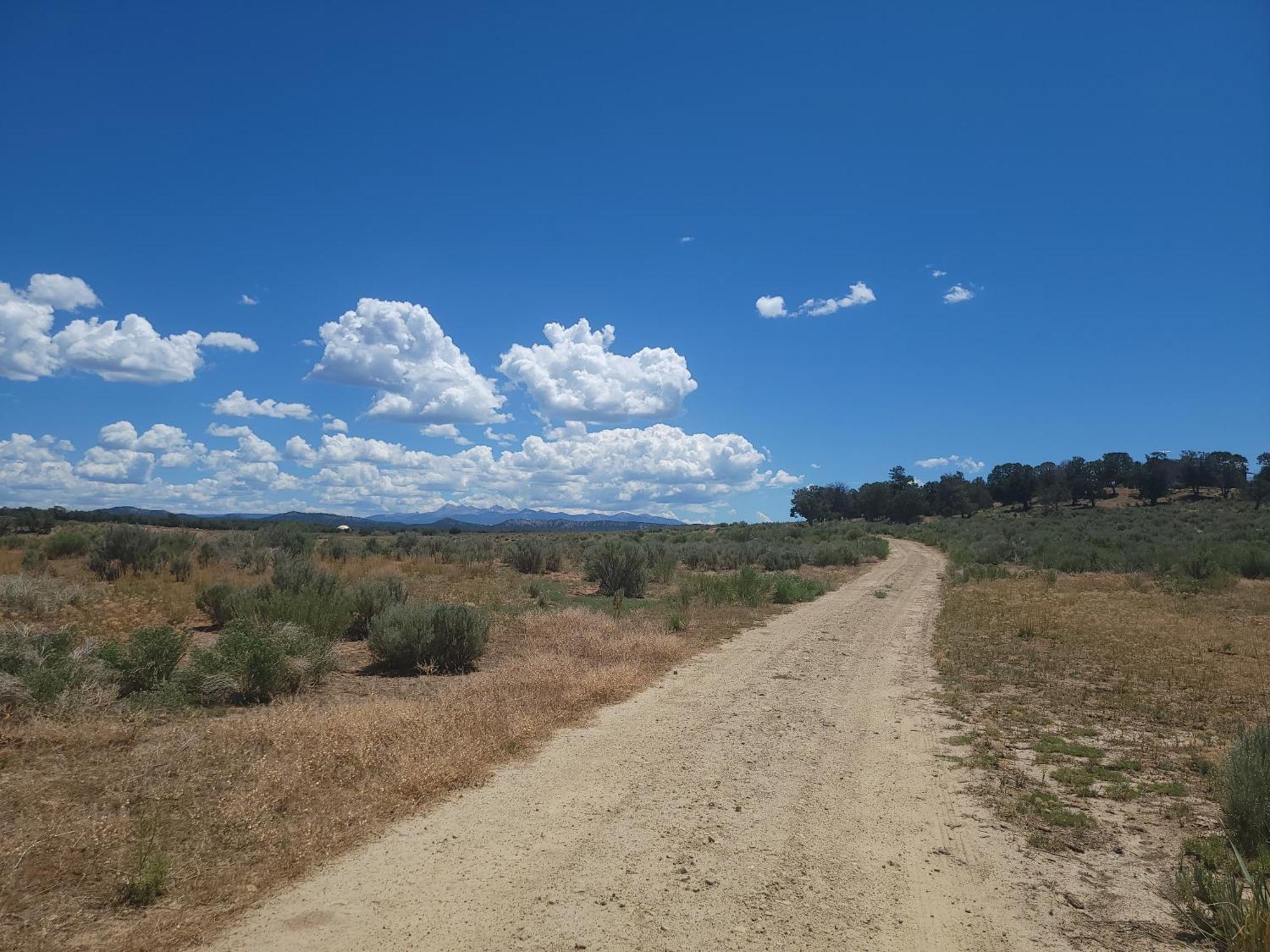 Mesa